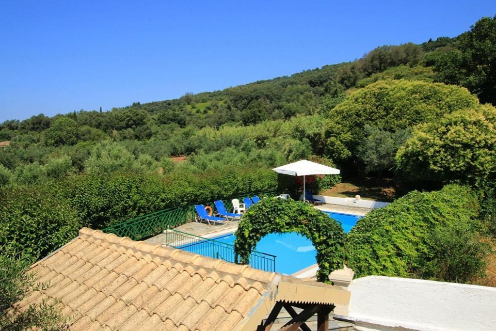 Villa Pool Grigoris *