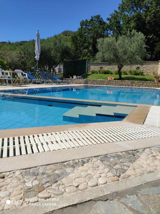 Villa Pool Grigoris