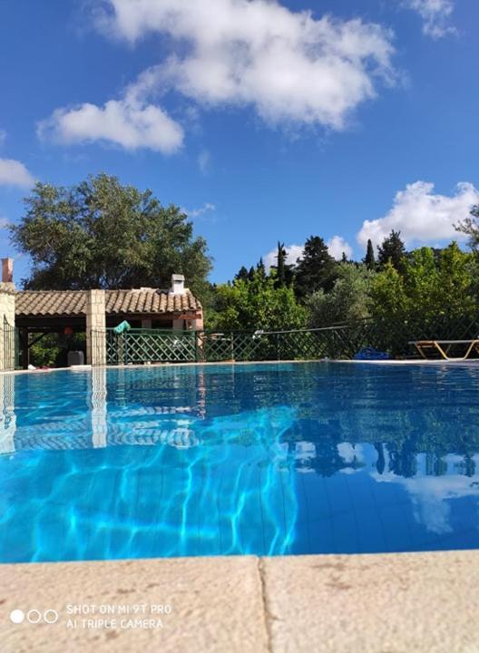 Villa Pool Grigoris Aspiotades